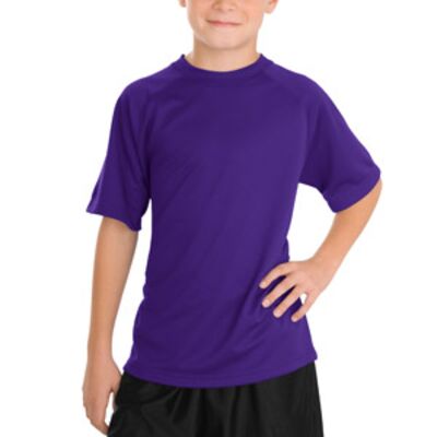 Youth Dry Zone ® Raglan T Shirt Thumbnail