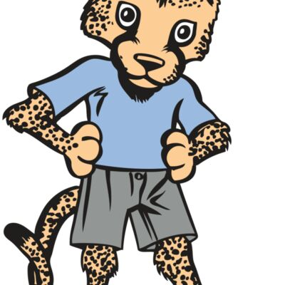 BAW CHEETAH 03 RC Thumbnail